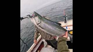 May 24, 2026 FIRST SALMON OF THE YEAR! LAKE HURON.....THUNDER BAY...