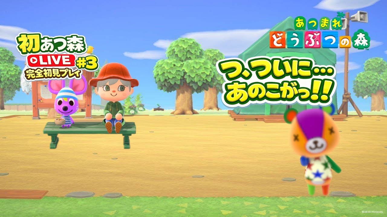 【あつ森】完全初見プレイ！#3 ※お話少なめ配信【Switch版】