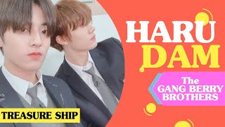 HARUDAM : The Gang Berry Brothers (◍•ᴗ•◍) Haruto and Yedam