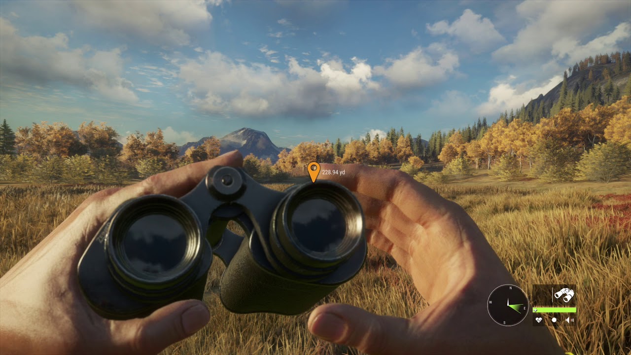 TheHunter Call of The Wild: Layton Lake District Black Bear Hunting