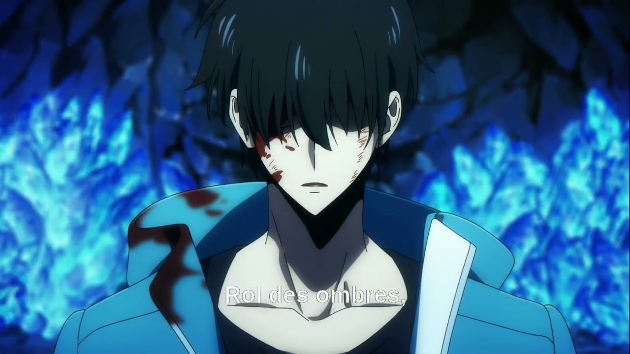 Musique Solo leveling - le Roi des ombres 