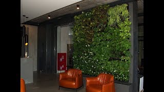 Стена из растений – создание и монтаж фиостены в офисе