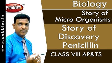 Story of Discovery Penicillin : Story of Micro Organisms | Biology | Class 8 | AP&TS