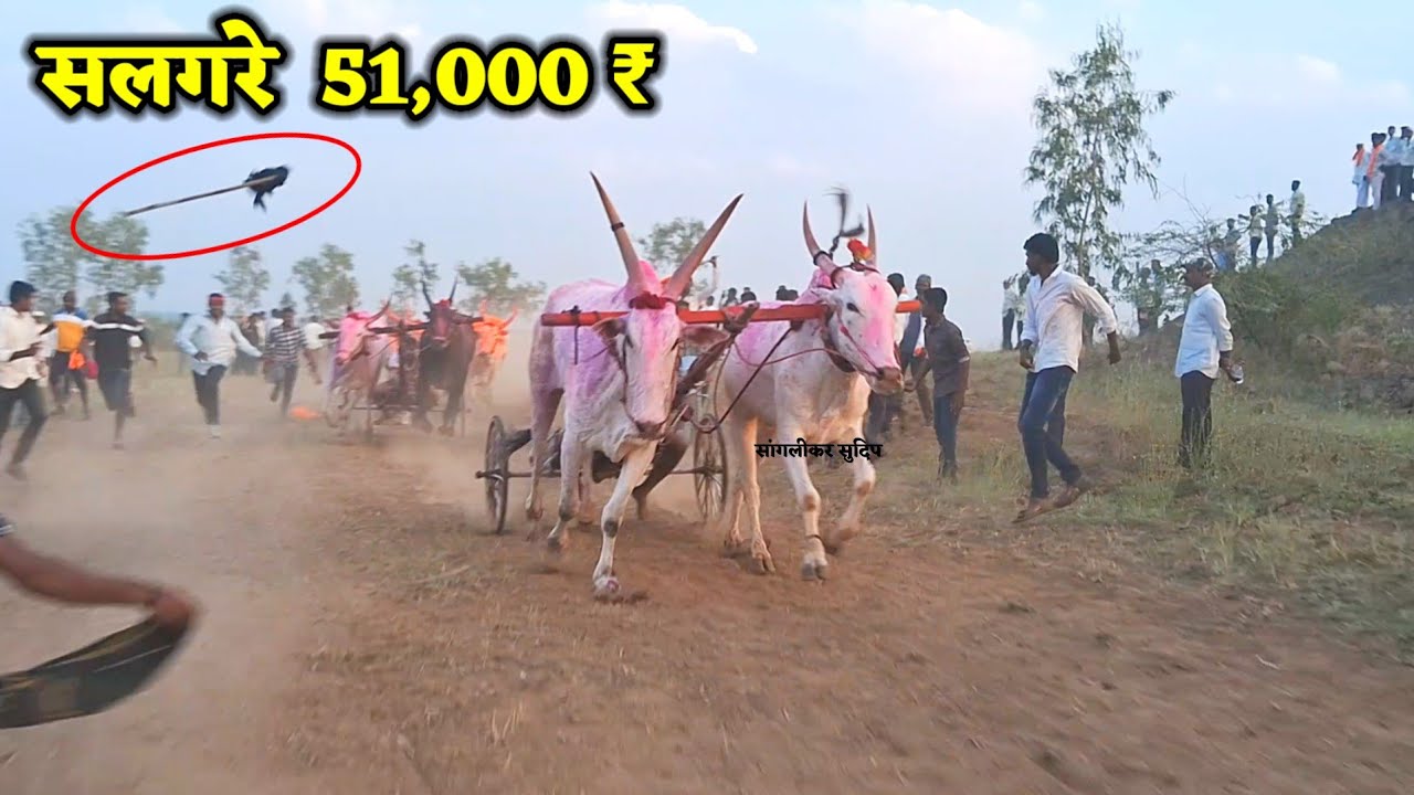 सलगरे 51,000 ₹ | 1 हारण्या बैज्या 2 सुंदऱ्या नखऱ्या 3 पळशी फाकड्या बैज्या Salgare