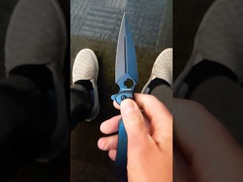 Would you Carry this? So Cool!