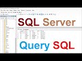 SQL Server Query | Get All Rows for a Specific Date (Day Filter)