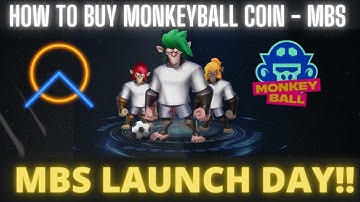 How to buy MBS coin   IDO launch Day