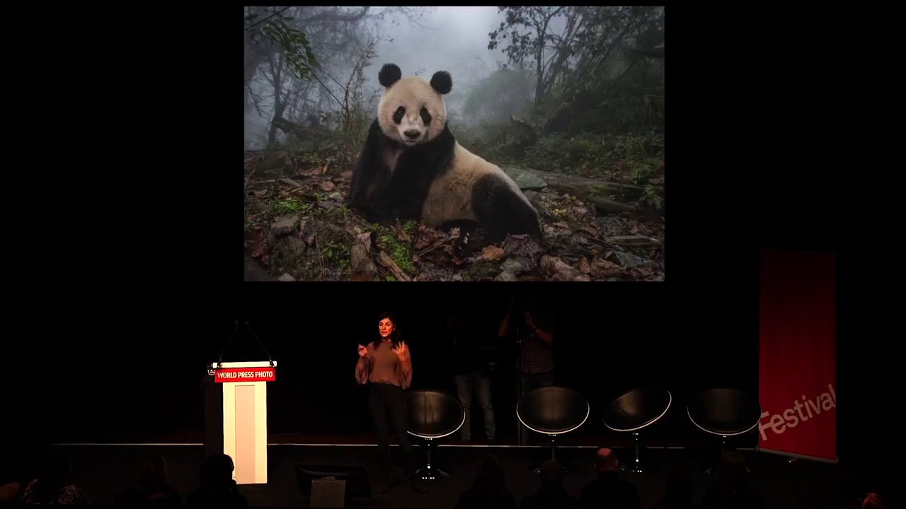 The World Press Photo Festival: Ami Vitale