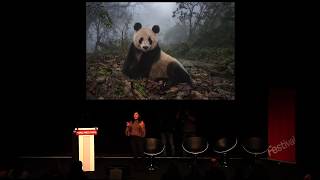 The World Press Photo Festival: Ami Vitale