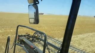 Case ih 9240 harvesting wheat