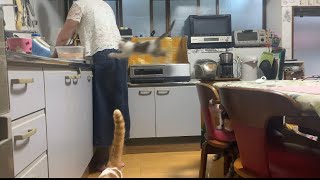 こー。いきまーーす！