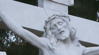 The Timeless Journey of the Rosary: Faith & Devotion Wealth