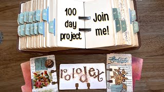 My plan for the 100 day project