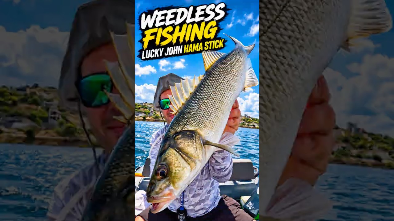 Ψάρεμα με ΣΙΛΙΚΟΝΗ 👀 Weedless Fishing 🌱🔥 #fishing #gbluring
