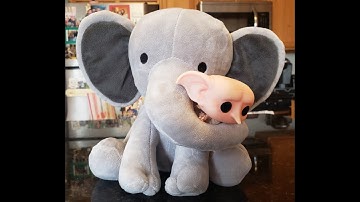 Clap it out!  Can you help Ms. W identify the syllables and vowel sounds??