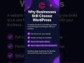 Why WordPress Is Still the Best Choice for Business