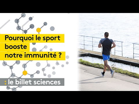 Vidéo: L'exercice physique renforce-t-il le système immunitaire ?