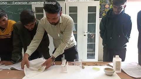 DNA extraction from Onion 🧅