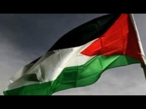 أعطيتها كفي لتقرأ طالعي