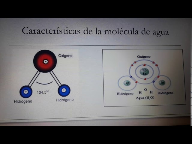 Estrutura Da Molecula De Agua