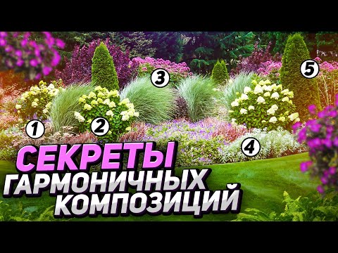 Хвойный миксбордер 🌲ГОТОВЫЕ схемы и фото для вдохновения в саду