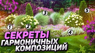 Хвойный миксбордер 🌲ГОТОВЫЕ схемы и фото для вдохновения в саду