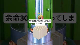 余命30秒になってしまうけど・・・