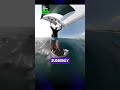 Australian surfer knocked down by humpback whale #surf #australia #shorts