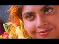 Veesum Kaatrukku songs | Ullaasam movie songs | Harini, Unnikrishnan | Karthik Raja | Vikram,Ajith