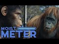 Moist meter  kingdom of the planet of the apes