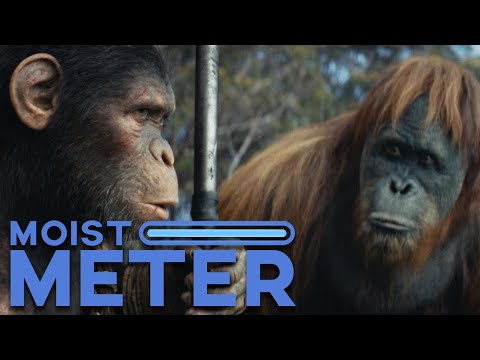 Kingdom of the Planet of the Apes I Cast Roundtable