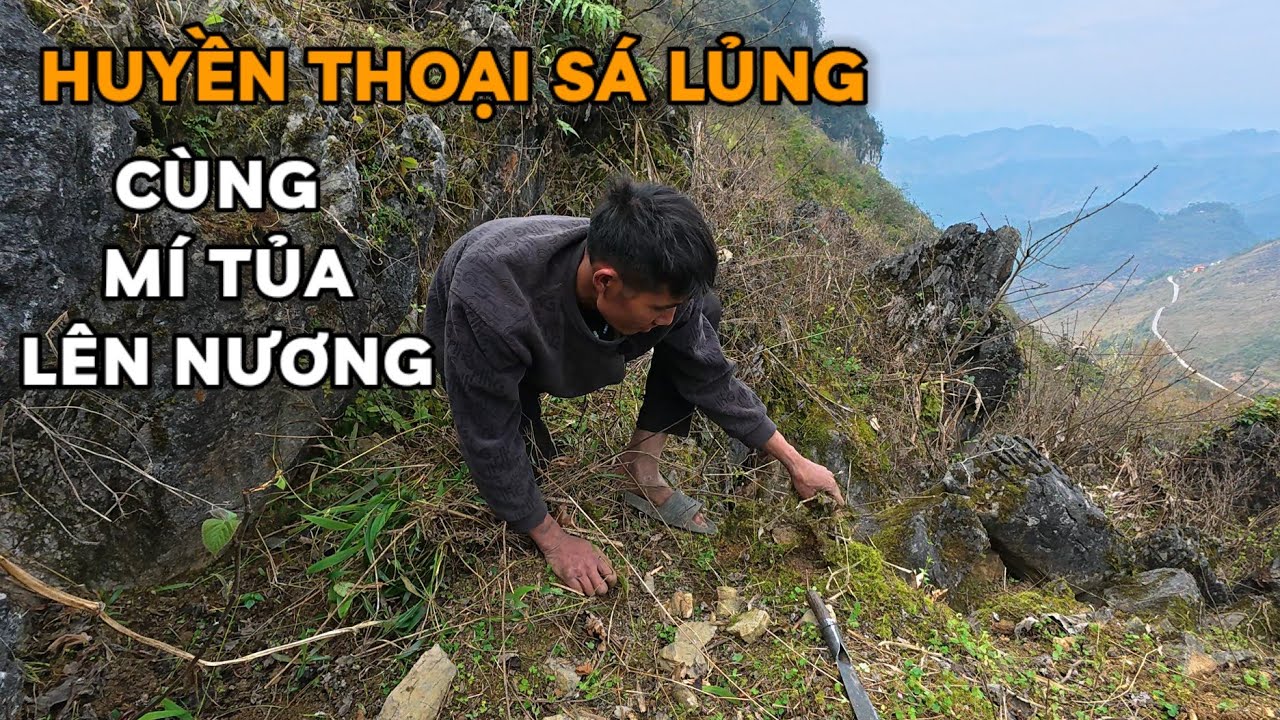 Cheo Leo Triền Núi Cao Vút Mí Tủa đi làm nương mùa Ngô mới ở làng Sá Lủng | CVC - Chao Vlog Team