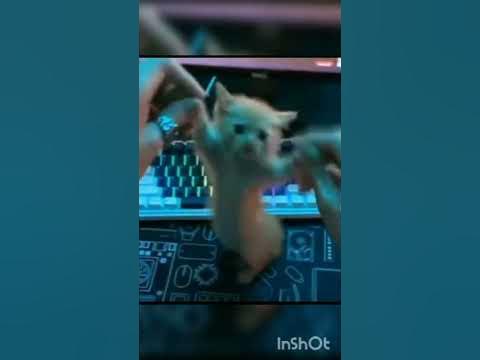 фон для мемов - YouTube