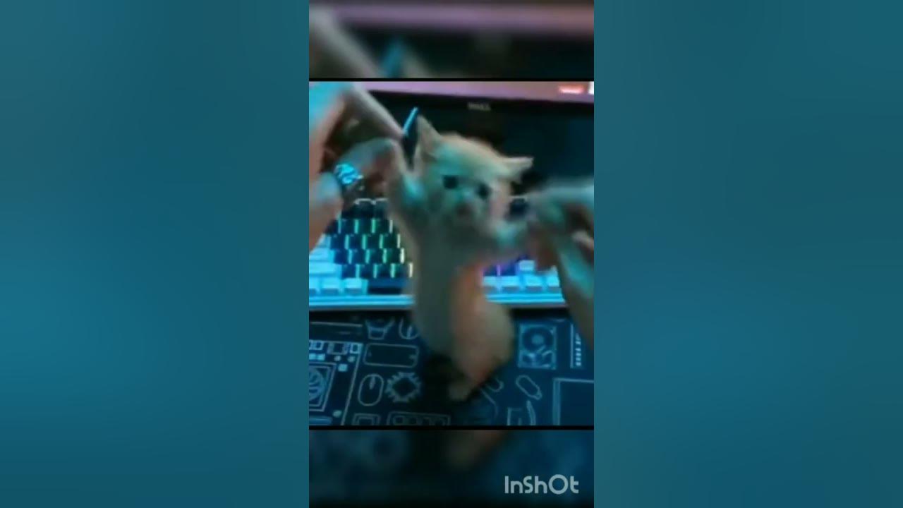 фон для мемов - YouTube
