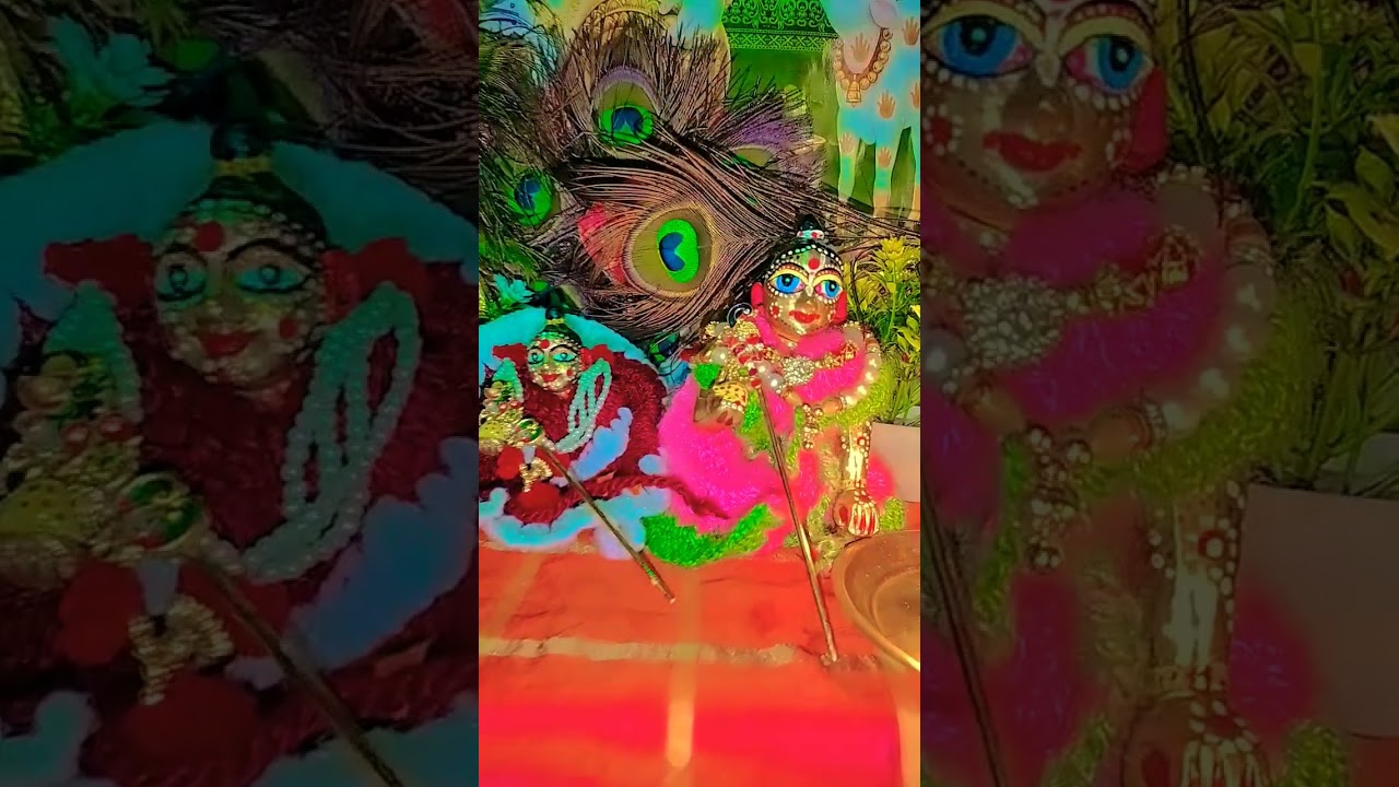 मेरा छोटा सा घर में का राजा है तू🌿 श्रीराधेकृष्ण 🌿 🌿