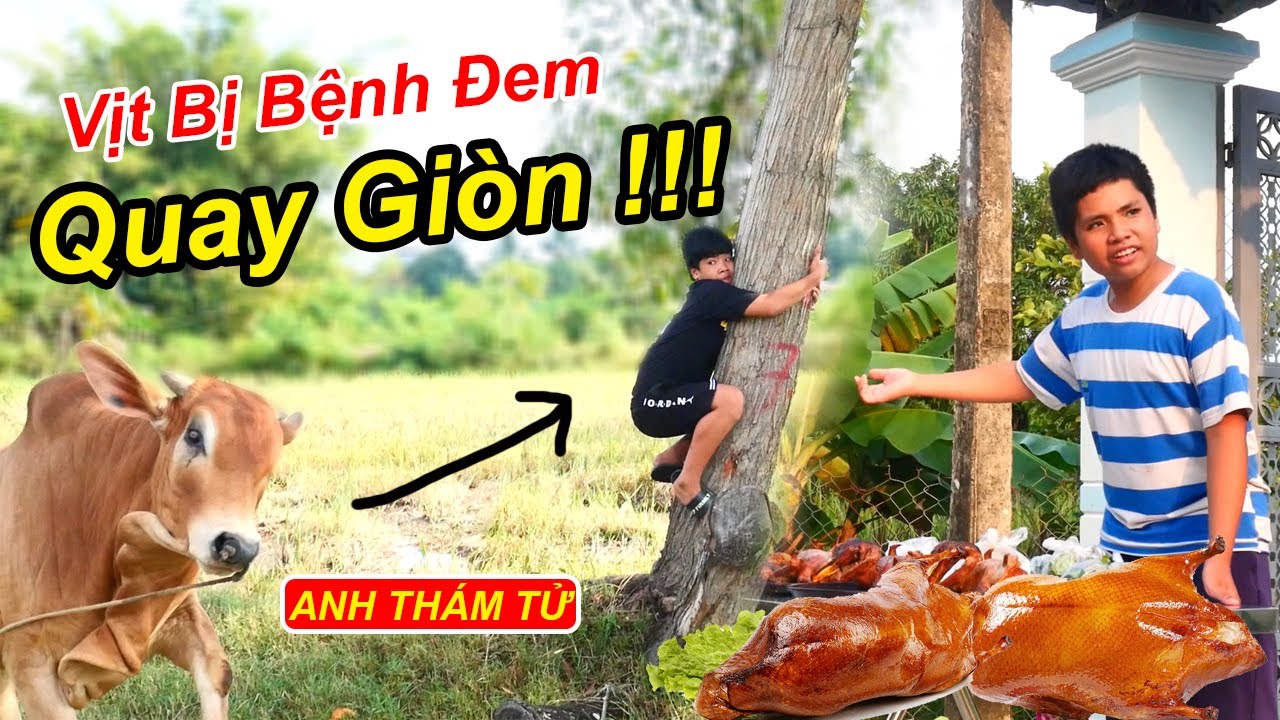 Tq97 Trẻ Trâu Hóa Thân Anh Thám Tử Vạch Trần