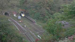 小幌駅 キハ261系 特急北斗 警笛有の標準的通過❗