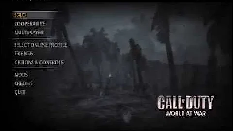 Problem with cod WaW online profile