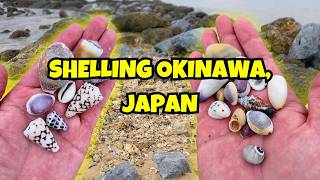 Shelling OKINAWA, JAPAN and finding once in a lifetime treasures 🤙