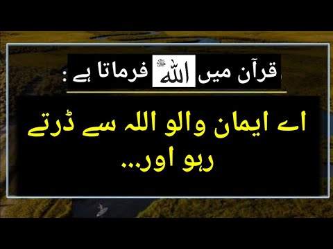 AY IMAN WALO