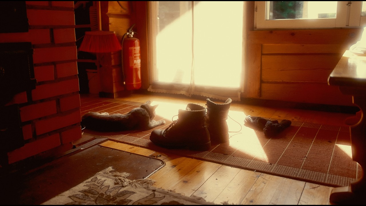 I Rescued an Abandoned Log Cabin in Finland EP 43