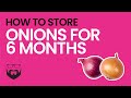 How to Store Onions for 6 Months