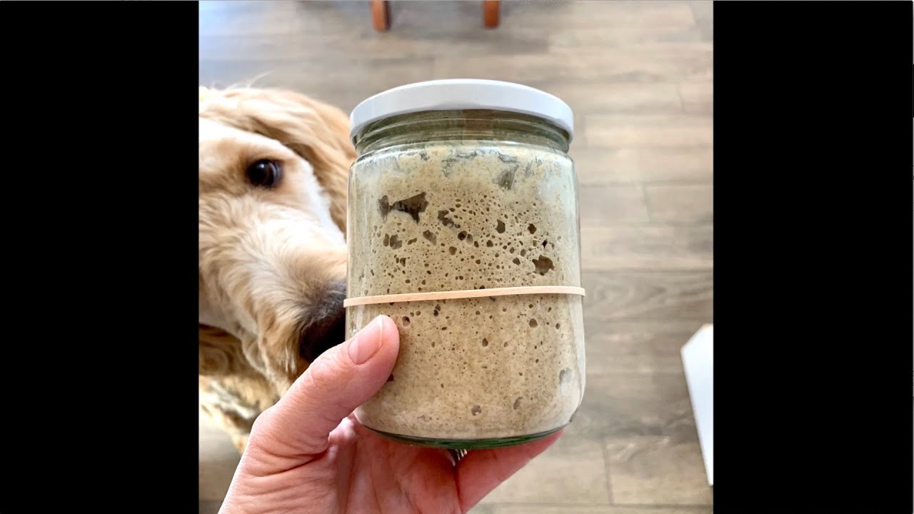 Easy Sourdough Starter Recipe 