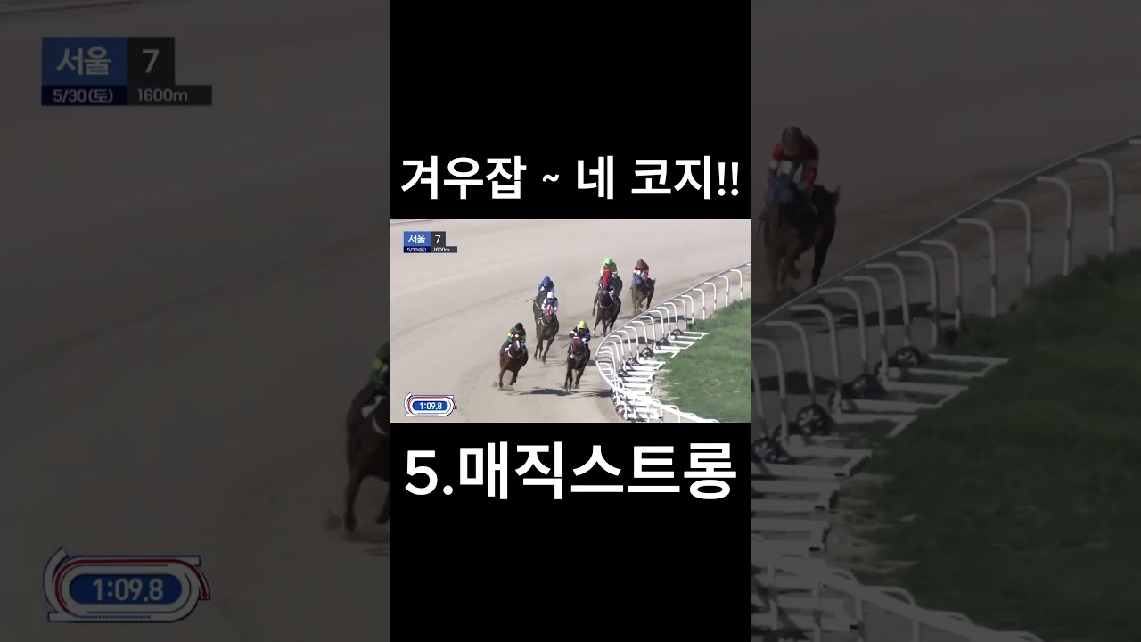 겨우잡~네  코지   #경마  #경마예상  #경마방송  #경마예상방송  #서울경마  #금요경마  #토요경마  #일요경마 #경마장