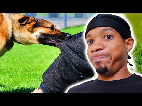 What Happened To Bugatti Beez Wiki Bio Age Height Is Gay