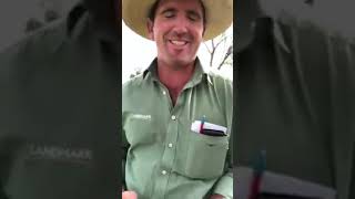 Murray Arnel & Marc Braybon review results of the Hay, NSW annual September sheep sale