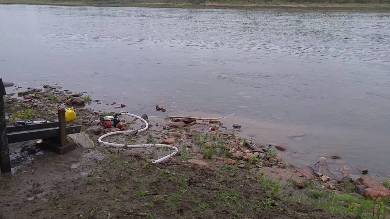 Black gold mining YouTube