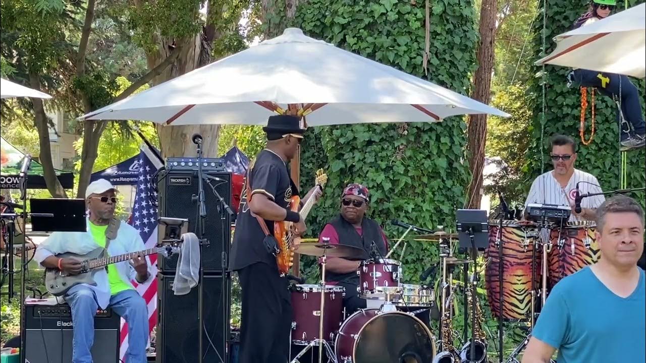 Can’t Go For That Stratify TreeTopia Festival Alden Park Mare