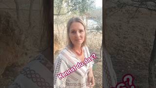 #soulshift #innereLeere #lebensfreude #rückverbindung #akashachronik #cosmichealing