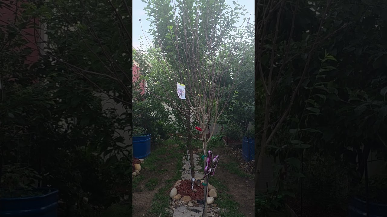 Reading Bible scriptures in the garden: Joshua 1: 5-9 